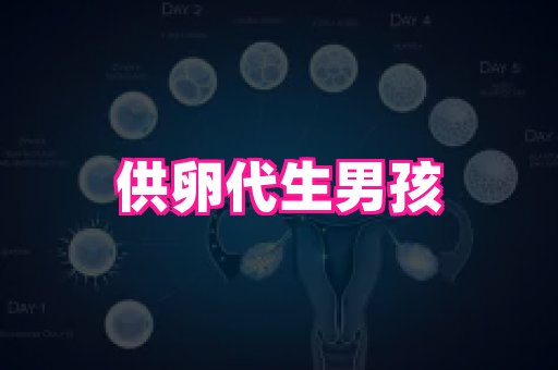 天津助孕网站 4